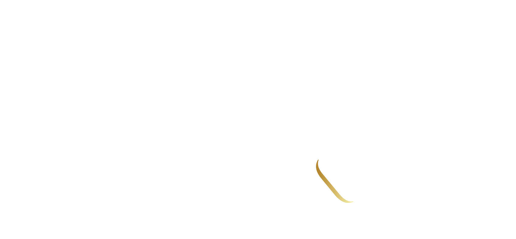 MAISI by NAVI